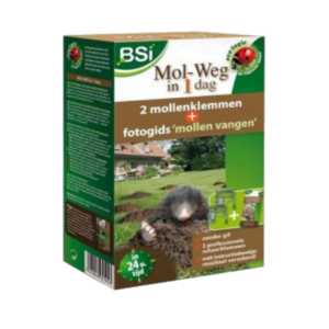 BSI mol weg in 1 dag