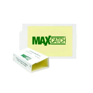 Catchmaster lijmplank max pindageur muizen 72 stuks