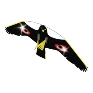 Vogelverschrikker Havik